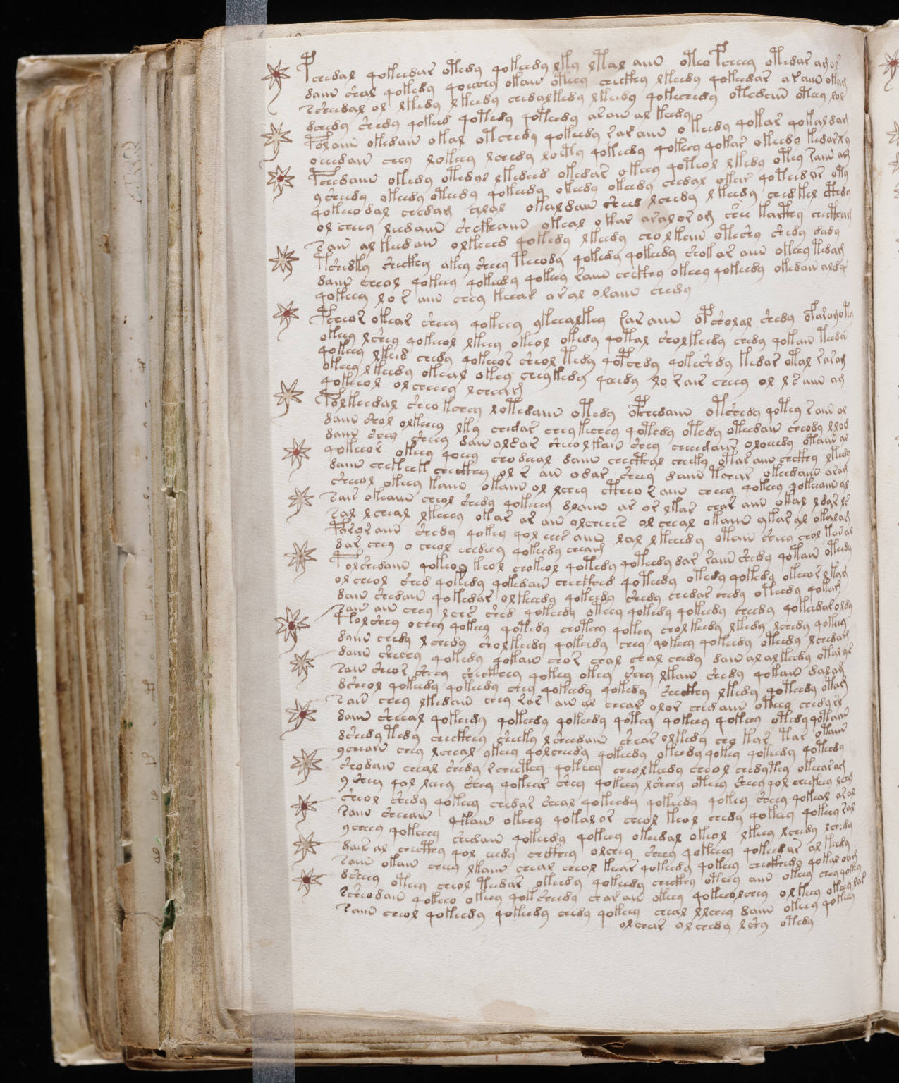 quodsi corporis gravioribus morbis vitae iucunditas impeditur